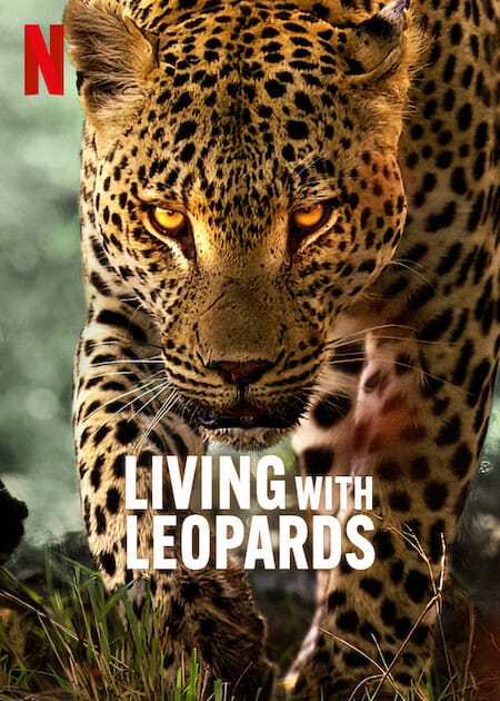 دانلود فیلم Living with Leopards 2024