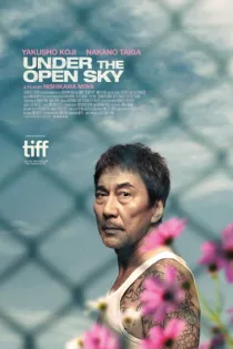 دانلود فیلم Under the Open Sky 2020