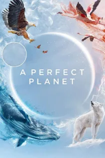 دانلود سریال A Perfect Planet بدون سانسور