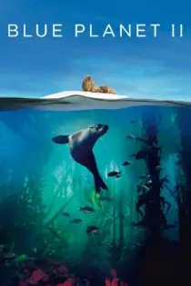 دانلود سریال Blue Planet II بدون سانسور