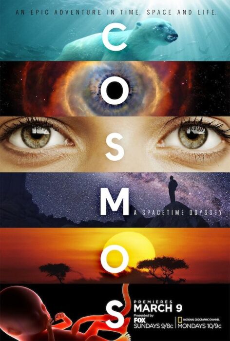 دانلود سریال Cosmos: A Spacetime Odyssey بدون سانسور