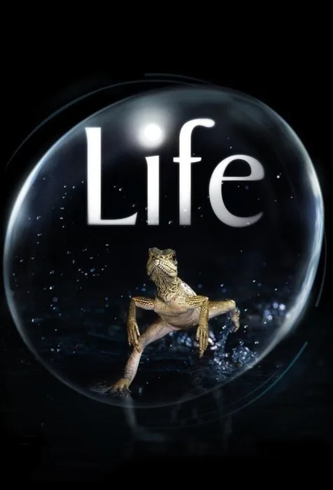 دانلود سریال Life بدون سانسور