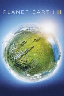 دانلود سریال Planet Earth II بدون سانسور
