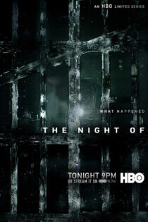 دانلود سریال The Night Of بدون سانسور